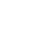 Recruitment & Selection Disputes